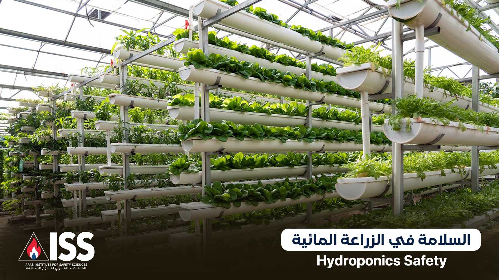 Safety in Hydroponics (Hydroponic Safety Management) (2)